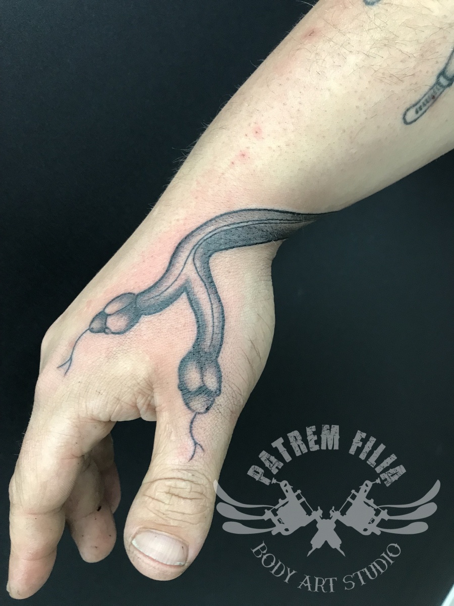 2 Koppige slang op Hand  Tattoeages