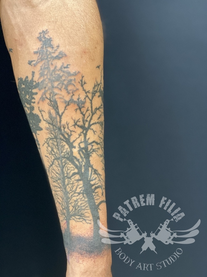 bos op onderarm Tattoeages