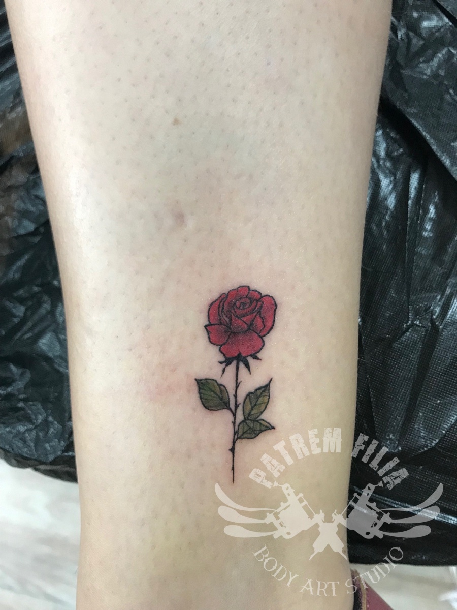 kleine rode roos Tattoeages