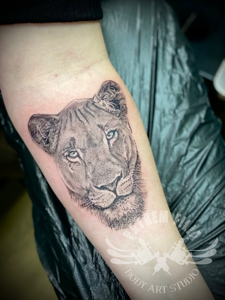 Leeuwin op onderarm Tattoeages