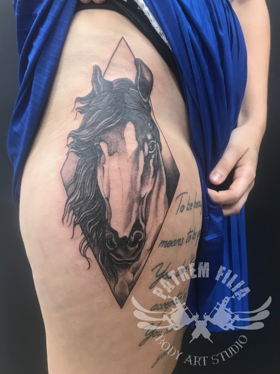 paardenhoofd in ruitvormig kader Tattoeages