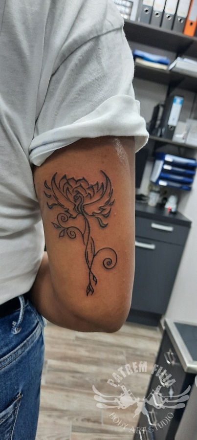 simpele Phoenix tattoo Tattoeages