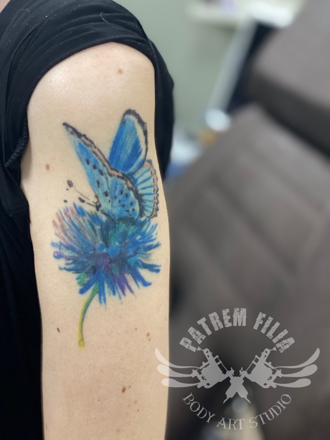 watercolor vlinder op blaasbloem Tattoeages