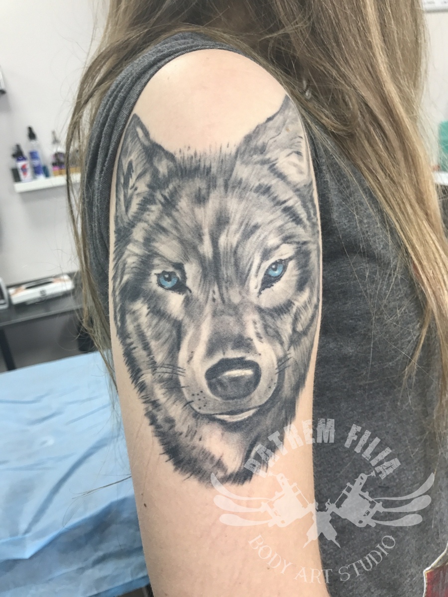 Wolf Head Tattoeages