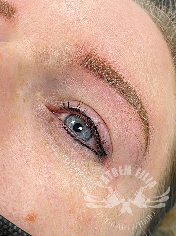 eyeliner boven en onder + miniwing en powderbrows