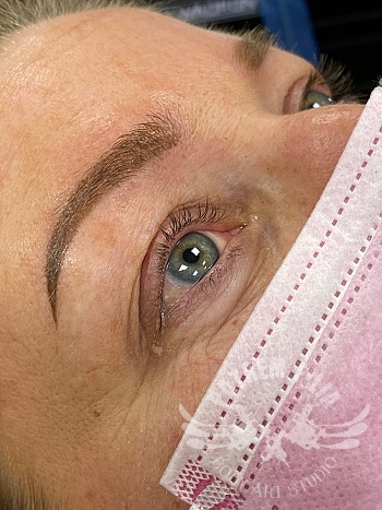 Ombre powderbrows
