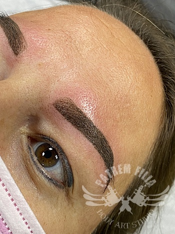 Ombre powderbrows