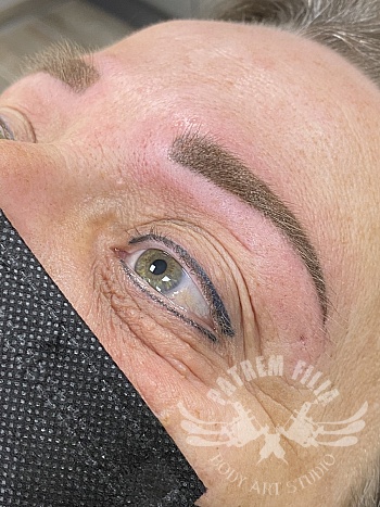Powderbrows