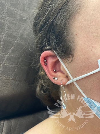 Conch en dubbele Helix