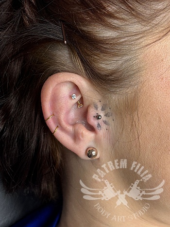 Tragus