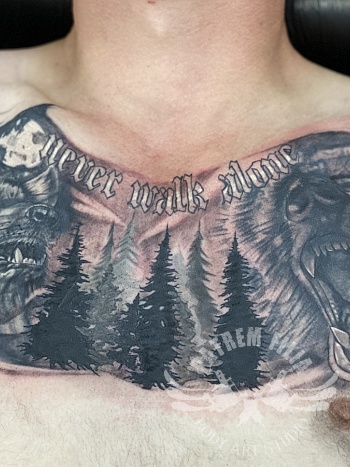 Beer en wolf cover up