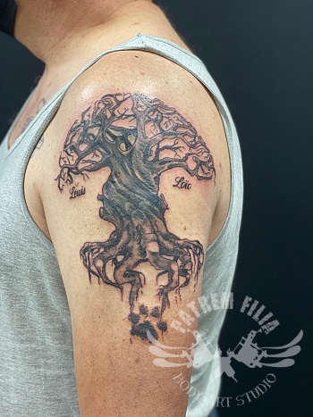 Cover met Levensboom