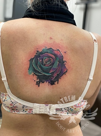 coveren van een naam met een roos