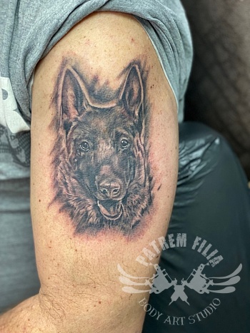 Herders hond