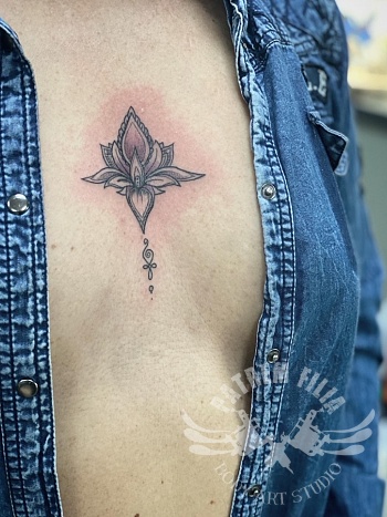 lelie - sternum