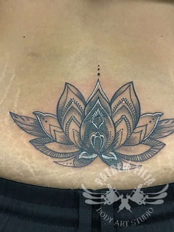Lotus als cover-up