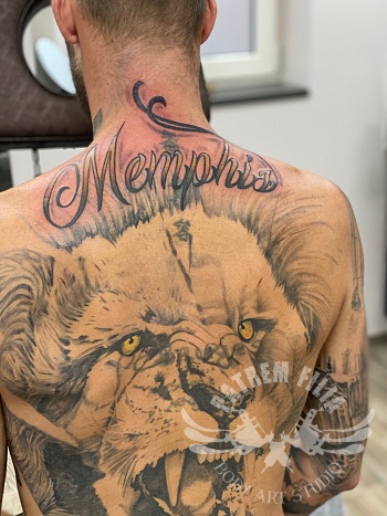 Memphis boven Leeuw