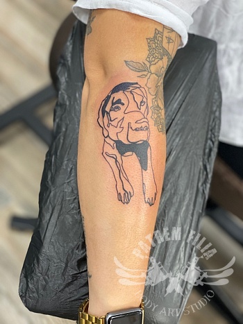 Outline Hond