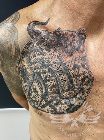 Python met Kat coverup