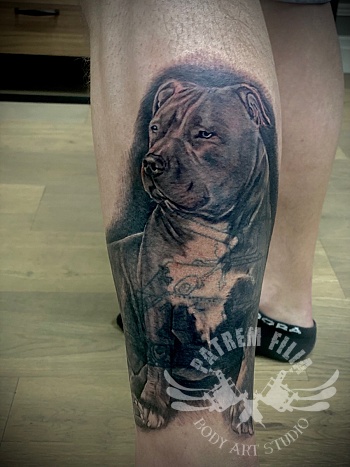realistische american Bully
