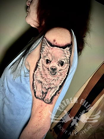 Realistische bovenarm tattoo van een witte hond, uitgewerkt in black & grey.