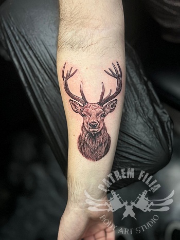 Realistische hert tattoo met gewei op de onderarm