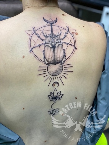 Scarabee met geometrische lijnen en zon
