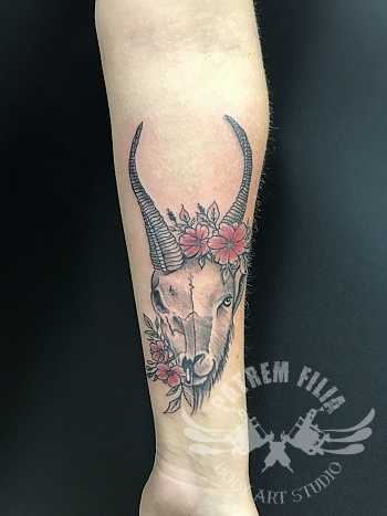 Steenbok  tattoo