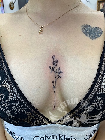 Sternum van wilde bloemen