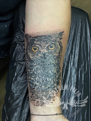 uil cover op onderarm