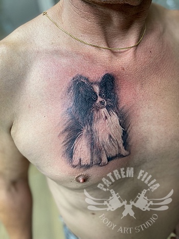 Vlinderhondje op borst