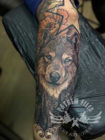 Wolf deel van een sleeve