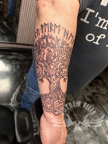 yggdrasil