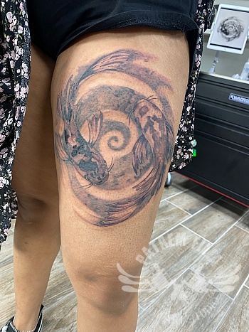 Ying Yang Koi vissen